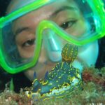 Intro Dive in Dubrovnik - The Value of the Experience