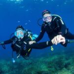 Introductory dive in Marseille - Who Is This Tour Best For?