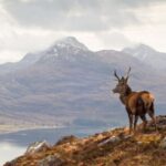 Inverness: Applecross, Loch Carron & Wild Highlands Day Tour - What to Expect on the Tour