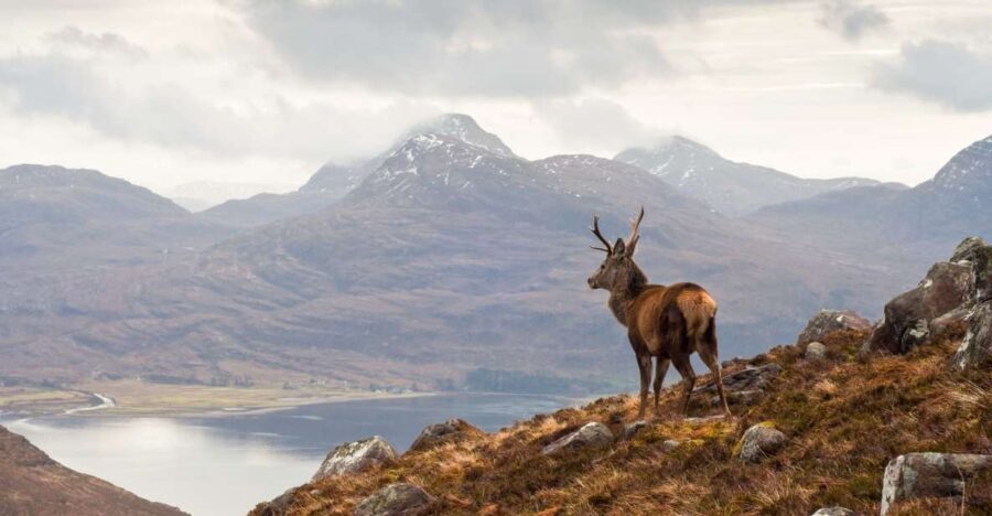 Inverness: Applecross, Loch Carron & Wild Highlands Day Tour - What to Expect on the Tour
