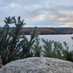 Inverness: Loch Ness Experience 1-Day Tour - Scenic Stops and Landmarks