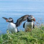 Inverness: Moray Coast, Wildlife and Speyside Whisky Tour - Practical Details and What You Should Know