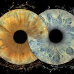IRIS Photography (macro photo of your eye) - Why This Experience Stands Out