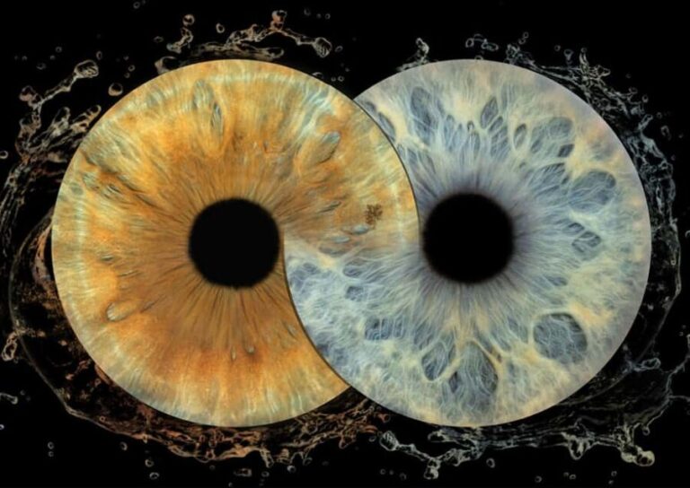 IRIS Photography (macro photo of your eye) - Why This Experience Stands Out