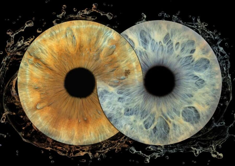 IRIS Photography (macro photo of your eye) - Why This Experience Stands Out