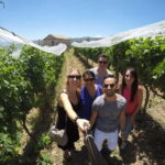 Irpinia Wine Tasting Experience - What Makes This Tour Stand Out?