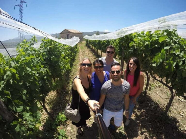 Irpinia Wine Tasting Experience - What Makes This Tour Stand Out?