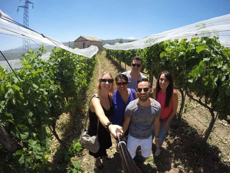 Irpinia Wine Tasting Experience - What Makes This Tour Stand Out?