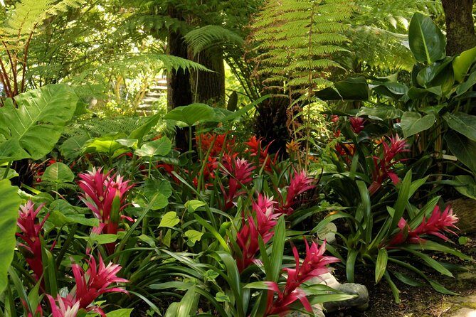 Ischia and La Mortella Gardens - Who Would Love This Tour?