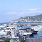 Ischia Food Tastings & Sightseeing: Private Day Trip from Naples Port - Transport, Timing, and Value