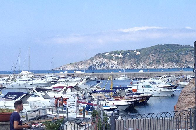 Ischia Food Tastings & Sightseeing: Private Day Trip from Naples Port - Transport, Timing, and Value