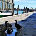 Island Hopping Tour: Mazzorbo, Burano and Murano - Practical Tips for Travelers