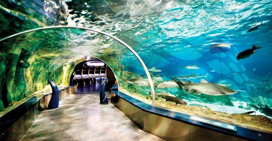 Istanbul Aquarium and Aqua Florya Shopping Mall Tour - Who Will Love This Tour?