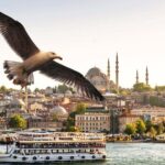 Istanbul Bosphorus Boat Tour and Golden Horn Cruise Day or Sunset - Who Is This Tour Best For?