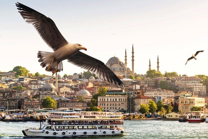 Istanbul Bosphorus Boat Tour and Golden Horn Cruise Day or Sunset - Who Is This Tour Best For?