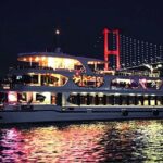 Istanbul: Bosphorus Dinner Cruise with Drinks & Turkish Show - Who Should Consider This Tour?
