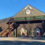 Istanbul: Bursa and Uludag Mountain Day Trip with Cable Car - Is It Worth the Price?