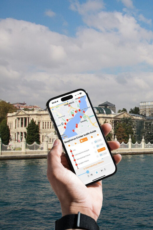 Istanbul: Daytime or Sunset Sightseeing Cruise & Audio Guide - Who Will Love This Cruise?