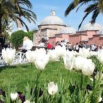 Istanbul Delights: A Journey Through Flavor and History - Who Will Love This Tour?