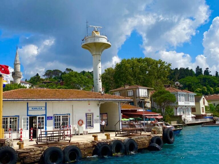 Istanbul: Dolmabahce Palace Tour and Bosphorus Yacht Cruise - Who is This Tour Best For?