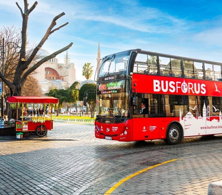 Istanbul: Hop-On Hop-Off Bus Ticket - Who Should Consider This Tour?