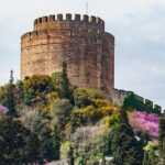 Istanbul: Morning or Sunset Cruise with Guide and Snacks - The Experience: From Boarding to Return