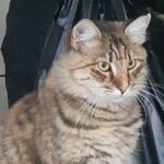 Istanbul Tour with Local Expert - Final Thoughts