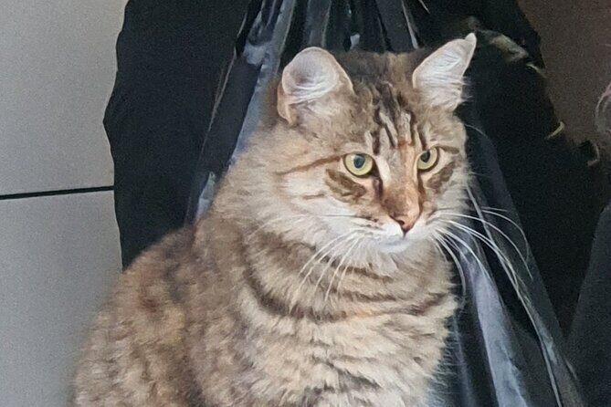 Istanbul Tour with Local Expert - Final Thoughts