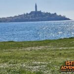 Istra Buggy Family Safari - The Different Tour Options and What They Offer