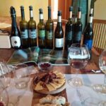 Istrian tapestry - gourmet tour combining wine, truffles and olive oil - Truffle Hunting — A True Istrian Ritual