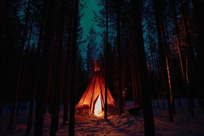 Ivalo: Aurora Hunting with Reindeer - Price and Value