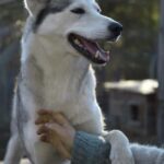 IVALO: Experience Farm Visit | small group - The Practicalities: Logistics and Value