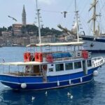 Izlet brodom iz Vrsara: Zalazak sunca i druenje s delfinima - Authentic Experiences and Review Insights