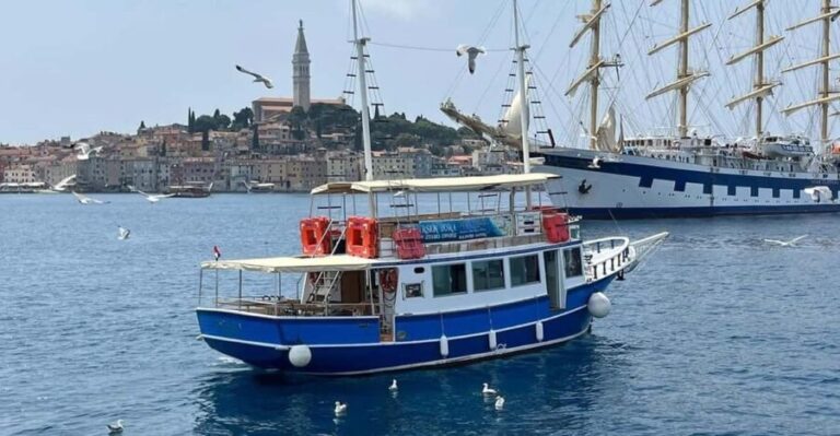 Izlet brodom iz Vrsara: Zalazak sunca i druenje s delfinima - Authentic Experiences and Review Insights