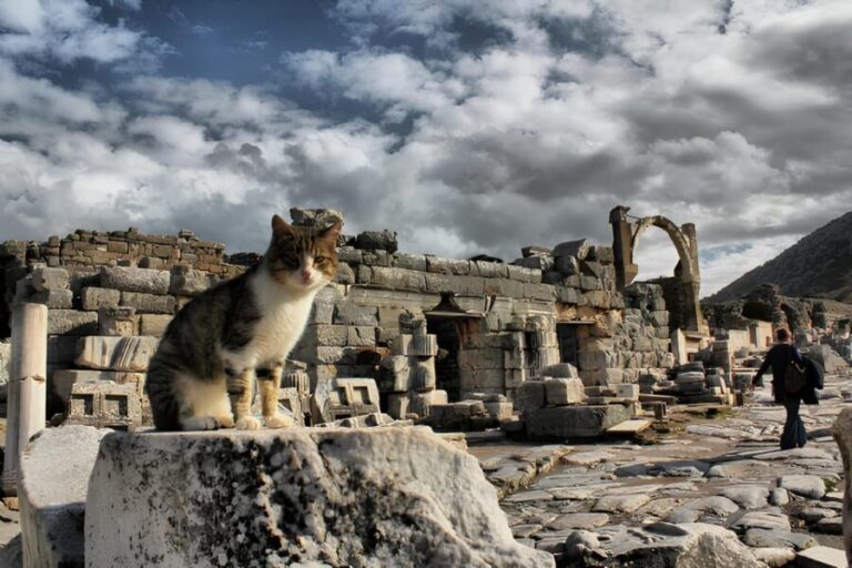 Izmir : Ephesus and Sirince Guided Tour - What Makes This Tour a Good Choice?
