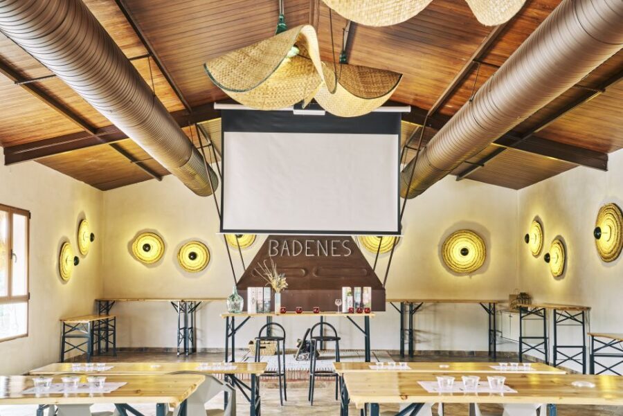 Jaen: Olive oil tour with the 5 senses, grove and tasing - Practical Details