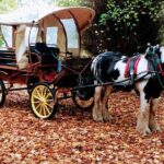 Jaunting Car Tour in Killarney National Park - Why Travelers Love This Tour