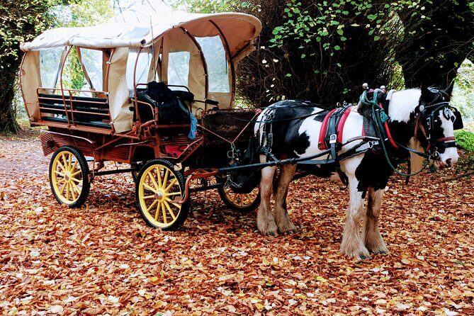 Jaunting Car Tour in Killarney National Park - Why Travelers Love This Tour