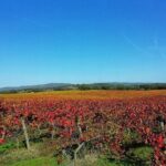 Jeep Cork Tour Experience Pack - Final Thoughts: Is It Worth It?