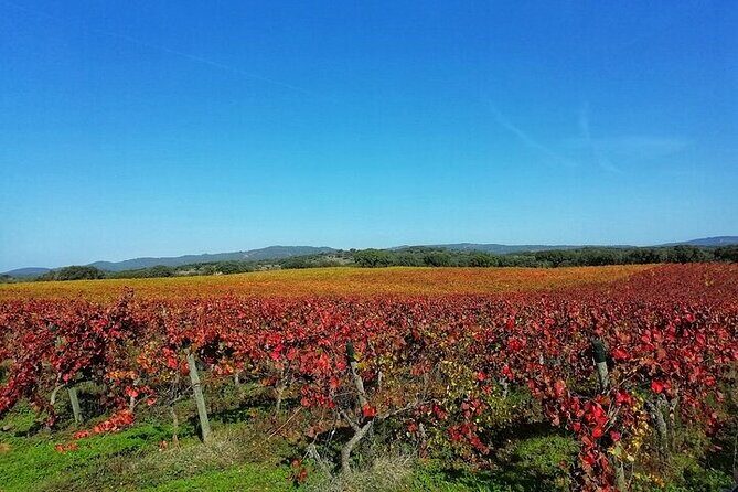 Jeep Cork Tour Experience Pack - Final Thoughts: Is It Worth It?