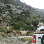 Jeep Driving Tour to Thripti Mountains and typical villages - What to Know Before Booking