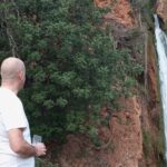 Jeep Safari Half Day Discover the Real Algarve in a 4x4 Vehicle - Authenticity, Comfort, and Value