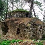 Jeep Safari to National Park From Kusadasi Port / Hotels - Who Will Love This Tour?