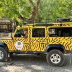 Jeep Safari Tours- Half Day - Practicalities & Considerations