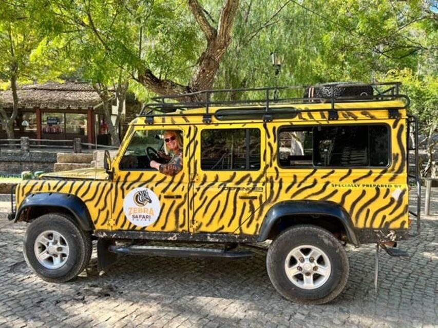 Jeep Safari Tours- Half Day - Practicalities & Considerations