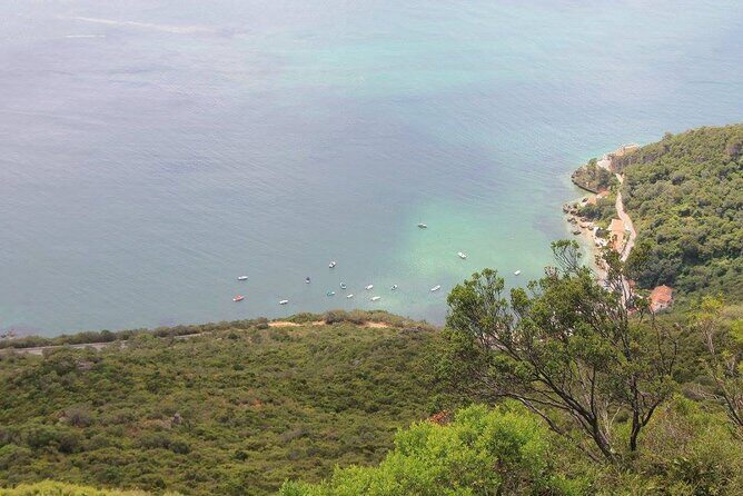 Jeep Tour through Arrábida Azeitão and Wine Tasting - Exploring Azeitão: Charm and Culture