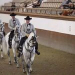 Jerez and Cadiz Private Tour from Seville - Practical Details and What You Should Know