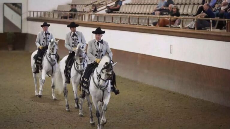 Jerez and Cadiz Private Tour from Seville - Practical Details and What You Should Know