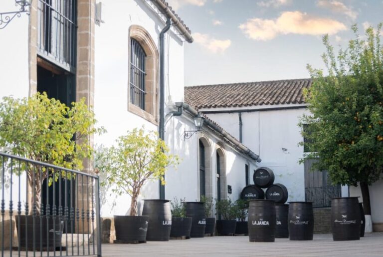 Jerez: Bodegas Álvaro Domecq Guided Tour with Wine Tasting - The Value of This Tour