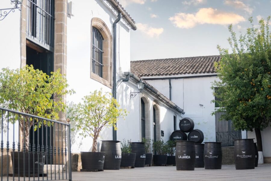 Jerez: Bodegas Álvaro Domecq Guided Tour with Wine Tasting - The Value of This Tour